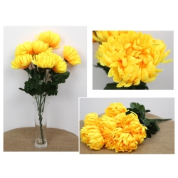Bukiet chryzantemy 7 kwiatów 55x12 cm
