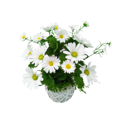 Biały stroik z rumianków kwiatów polnych na cmentarz/184