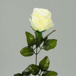 Bukiet róż w gipsowym wazonie stroik z róż /630