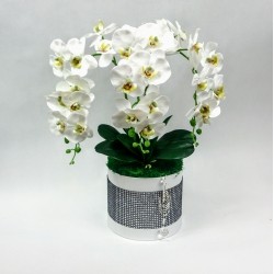 Flower box ekskluzywny XXL, storczyki lateksowe /726
