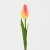Tulipany satynowe gałązka kolory/848