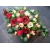 Stroik na grób, bordowe kremowe róże eustoma /192