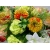 Stroik na grób XXL róże, storczyki, dalie ciepłe barwy. Dekoracja nagrobna ze sztucznych kwiatów/298