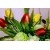 Stroik wiosenny - tulipany. 