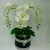 Flower box ekskluzywny XXL, storczyki gumowe/670